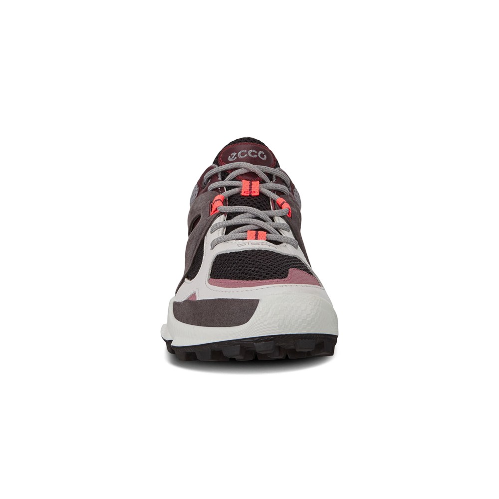 Womens Hiking Shoes - ECCO Biom C-Trail Low - White/Brown/Black - 4107CITNJ